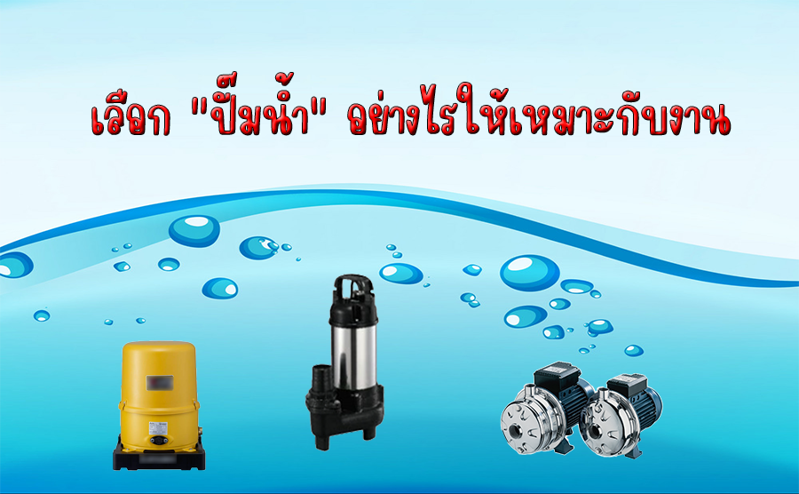 รูปภาพบทความ
